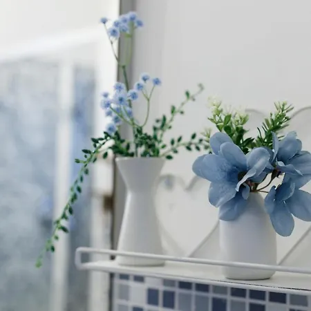 Sissi's Due Passi Dal Mare, Free Wifi *